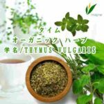 「※」オーガニック ハーブ／タイム