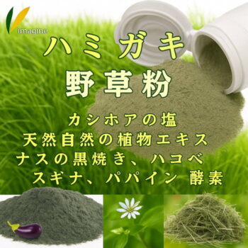 ハミガキ／野草粉