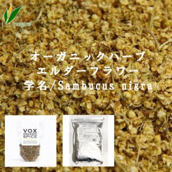 「※」オーガニックハーブ／エルダーフラワー